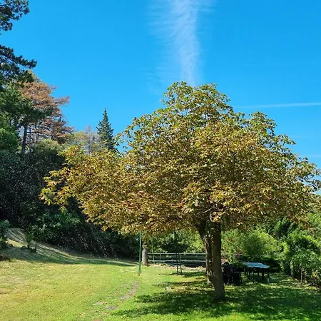Casa de Férias Grand Manoir Avec Piscine La Tour-sur-Orb